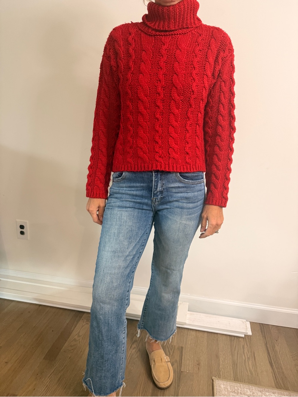 Z Supply Red Cable Turtleneck Sweater